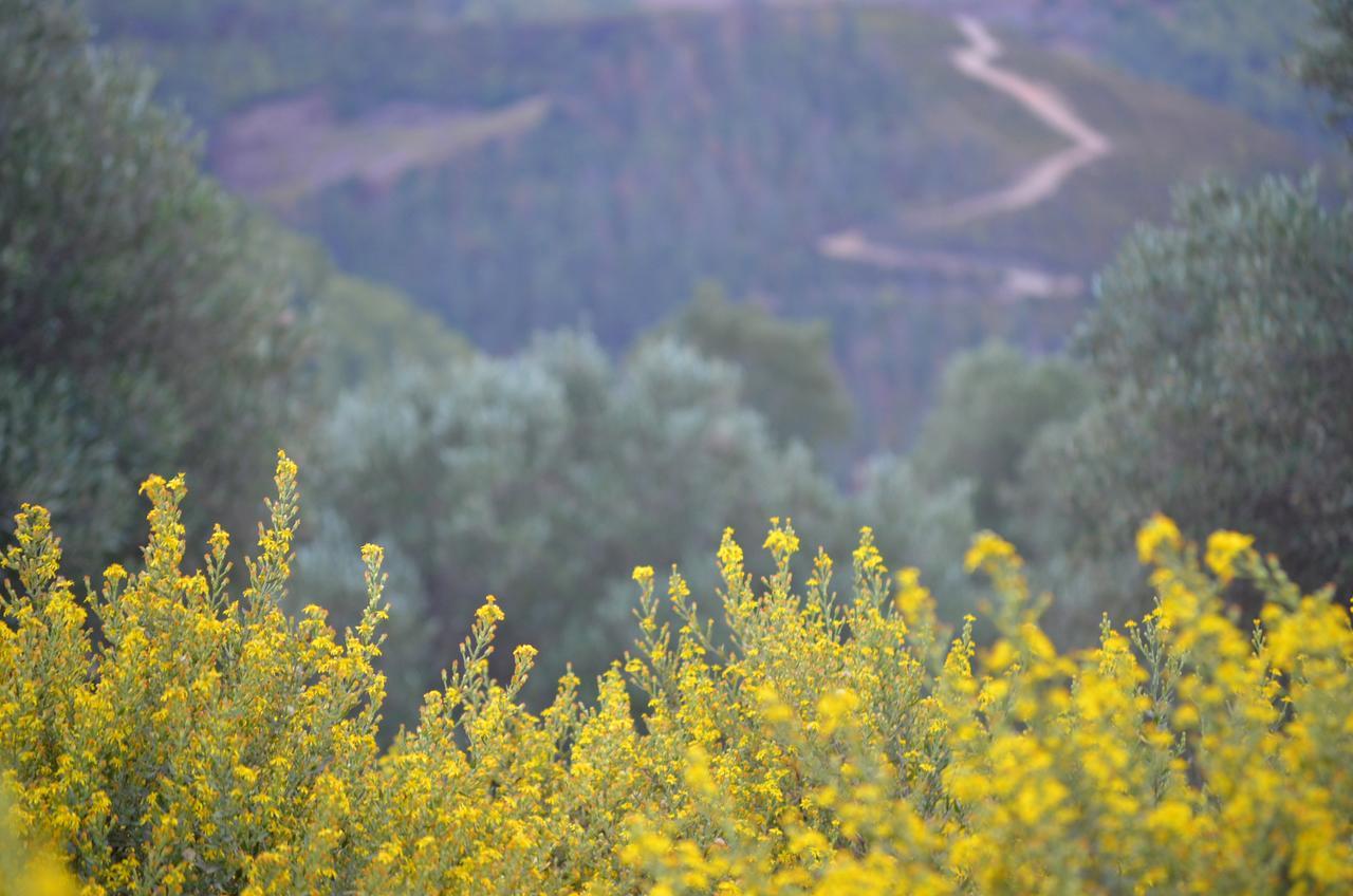 Ferma Jebala Ecolodge Kitane Екстер'єр фото
