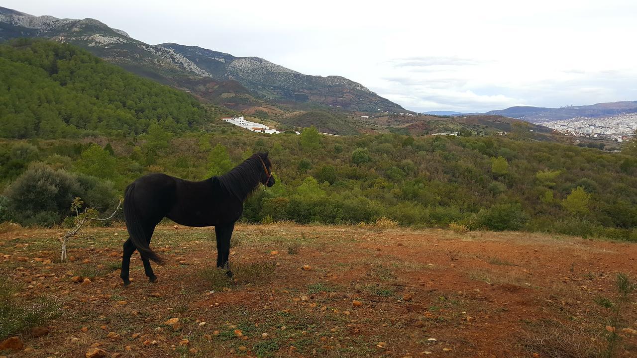 Ferma Jebala Ecolodge Kitane Екстер'єр фото