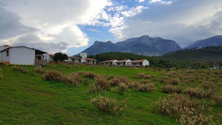 Ferma Jebala Ecolodge Kitane Екстер'єр фото