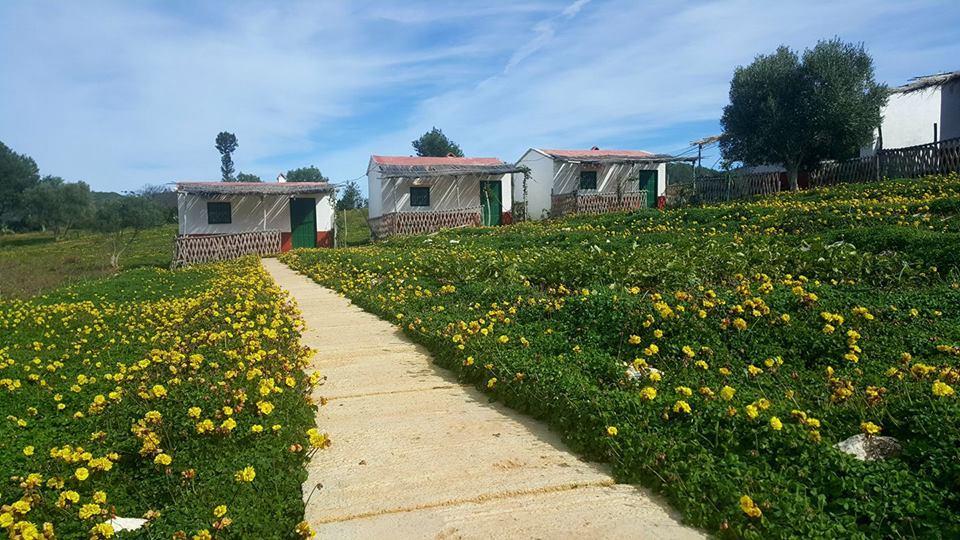 Ferma Jebala Ecolodge Kitane Екстер'єр фото