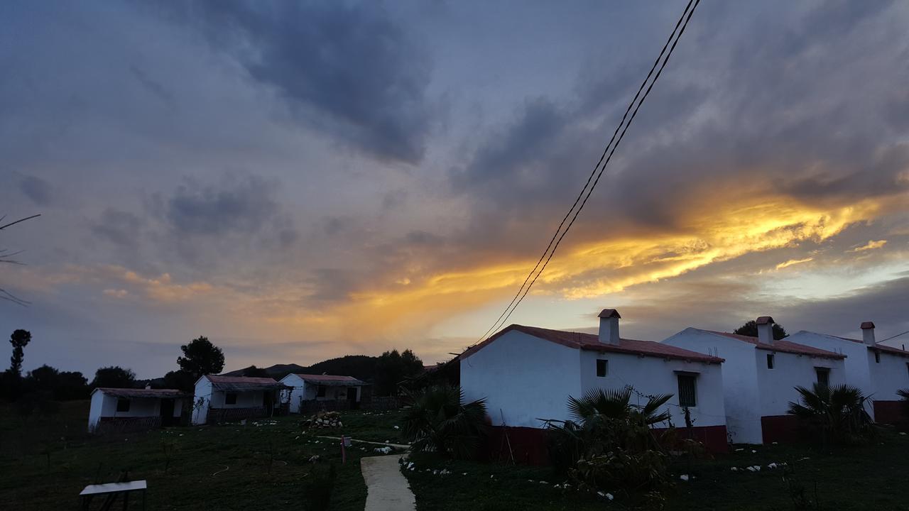 Ferma Jebala Ecolodge Kitane Номер фото