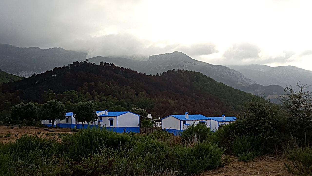 Ferma Jebala Ecolodge Kitane Екстер'єр фото